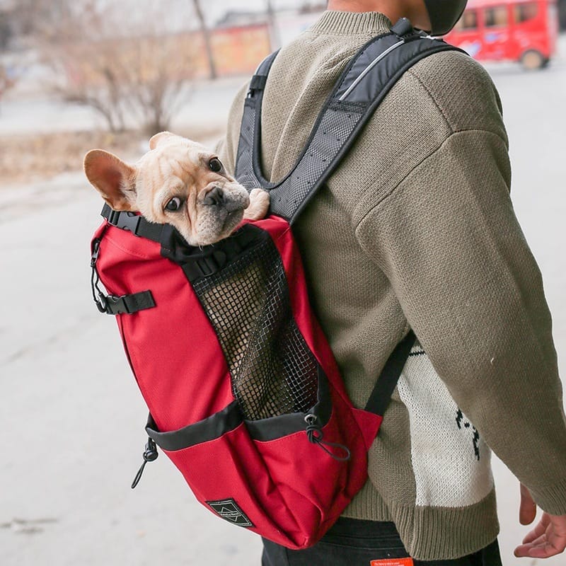 Dog Carrier Backpack for Small Dogs & Puppies - Image 9