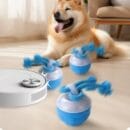 interactive rolling dog ball with rope