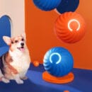 interactive dog ball