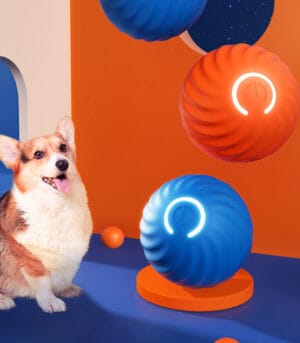 interactive dog ball