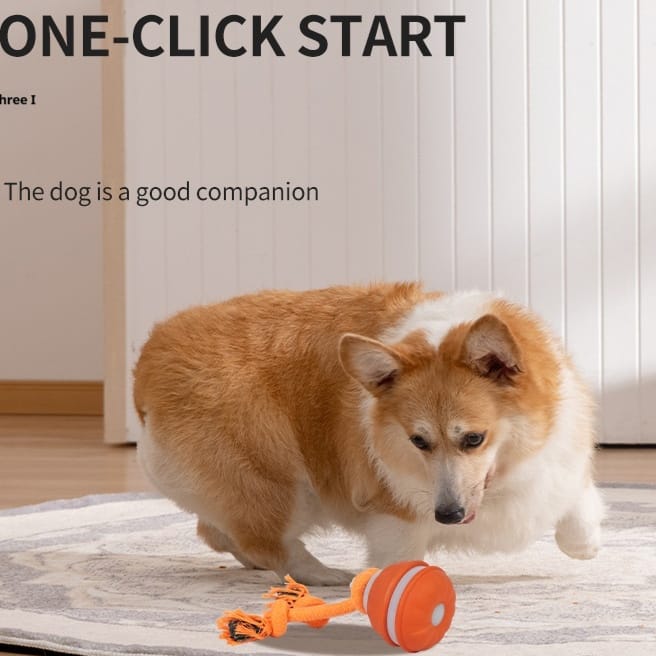 Interactive Rolling Dog Ball with Rope - Image 4