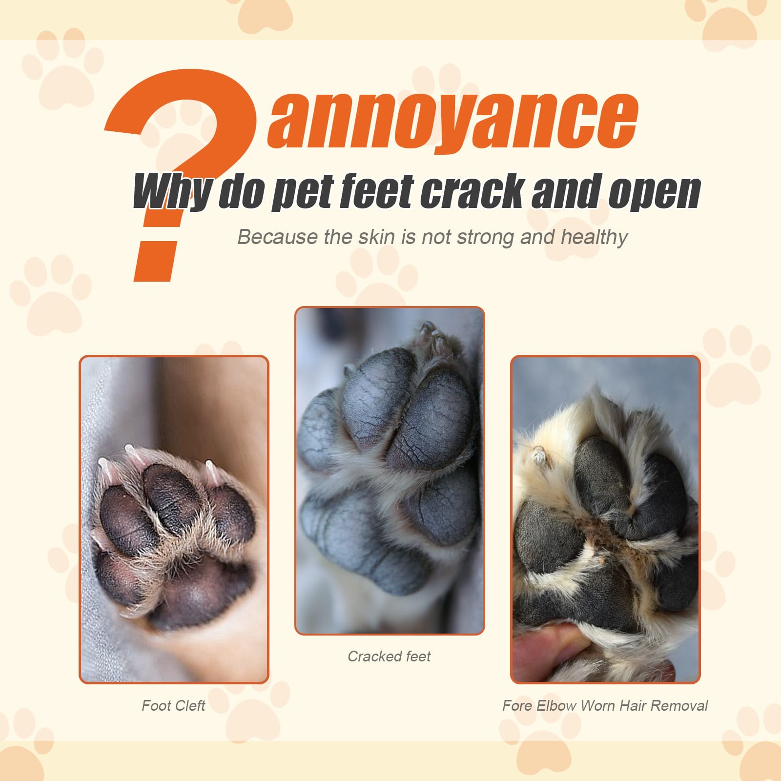 Moisturizing Paw Balm for Dogs & Cats – 50g - Image 3