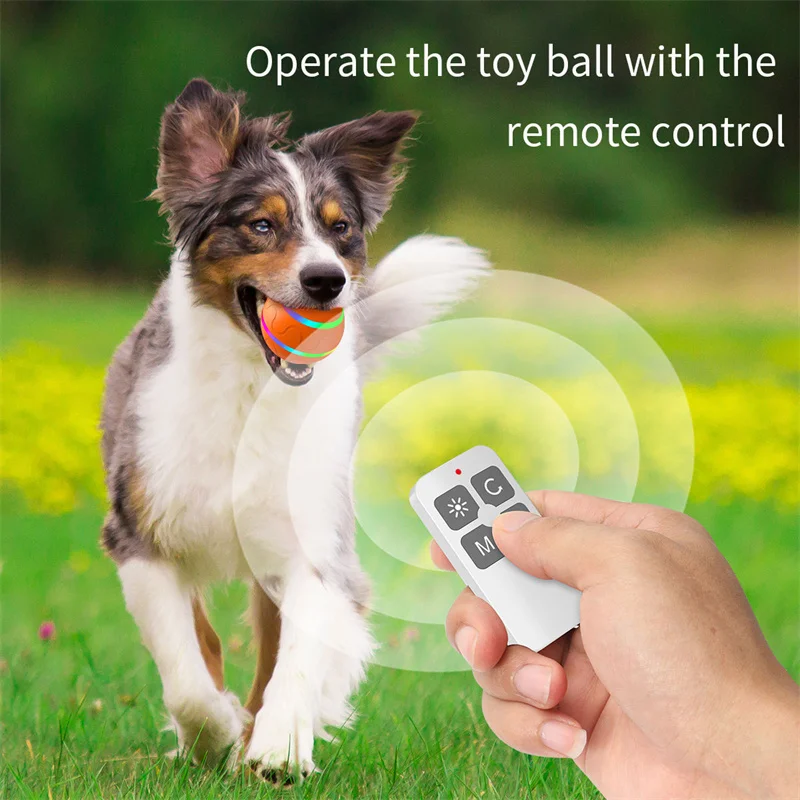 Smart Interactive Rolling Ball Toy for Dogs & Cats